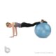 ball-k9