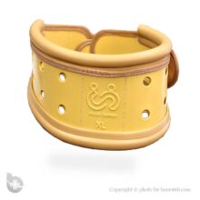 گردن‌بند طبی سخت هوش درمان